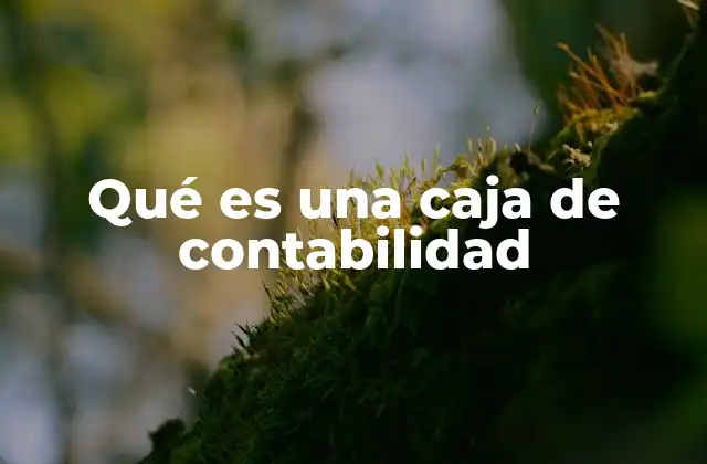 Qué es una Caja de Contabilidad