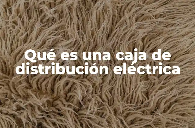 Qué es una Caja de Distribución Eléctrica