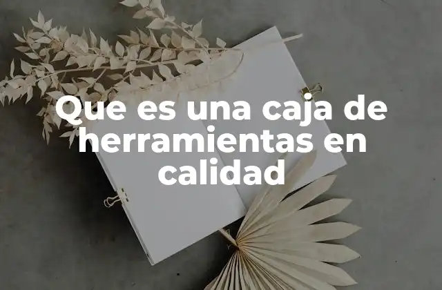 Que es una Caja de Herramientas en Calidad