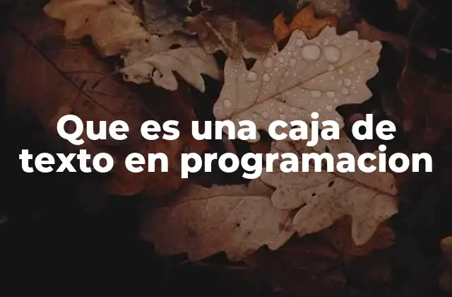 Que es una Caja de Texto en Programacion