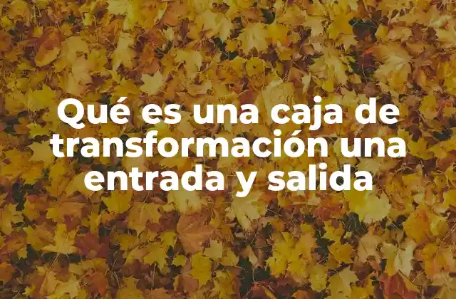Qué es una Caja de Transformación una Entrada y Salida