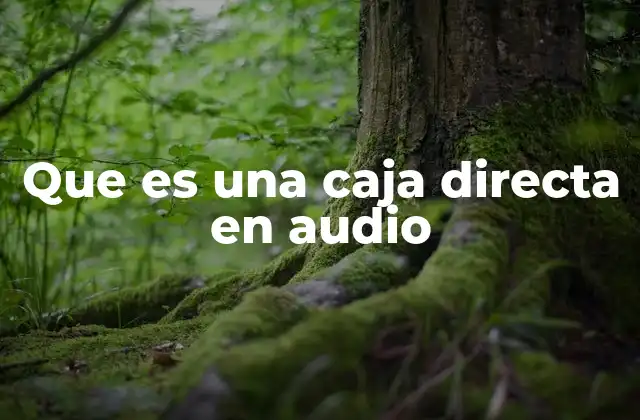 El papel de la caja directa en la conexión de instrumentos
