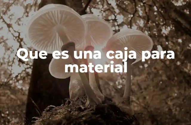 Que es una Caja para Material
