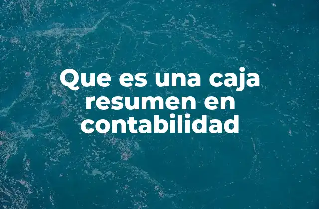 Que es una Caja Resumen en Contabilidad