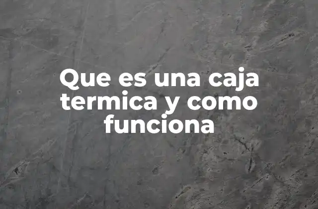 Que es una Caja Termica y como Funciona 2 Los componentes esenciales de una caja térmica