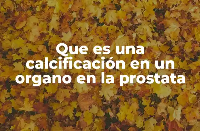 Que es una Calcificación en un Organo en la Prostata