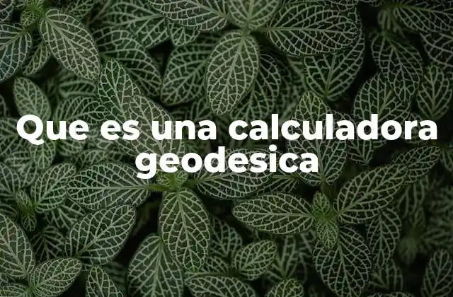 Que es una Calculadora Geodesica