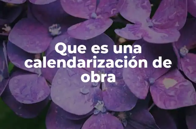 Que es una Calendarización de Obra