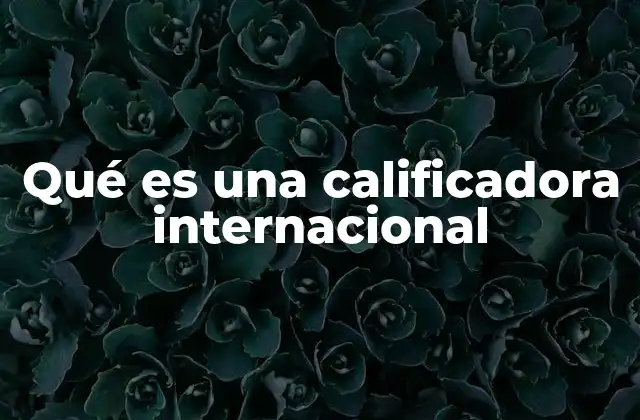 Qué es una Calificadora Internacional