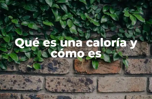 Qué es una Caloría y Cómo es