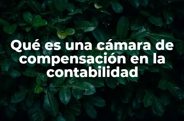 Qué es una Cámara de Compensación en la Contabilidad