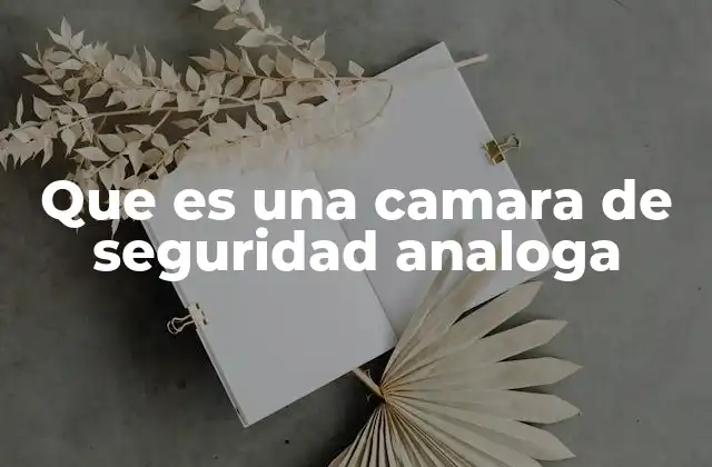 Que es una Camara de Seguridad Analoga