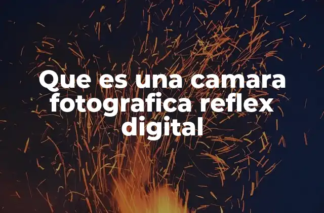 Que es una Camara Fotografica Reflex Digital