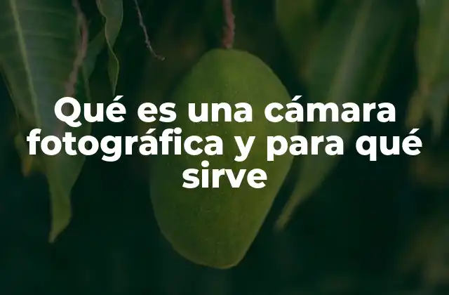 Qué es una Cámara Fotográfica y para Qué Sirve