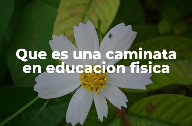 La importancia de la movilidad activa en el aula al aire libre