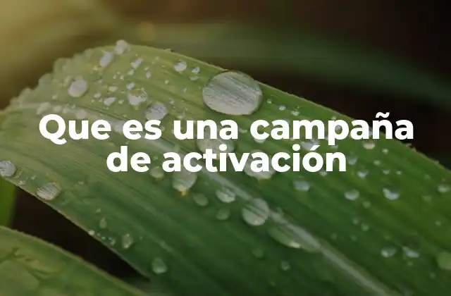 Que es una Campaña de Activación