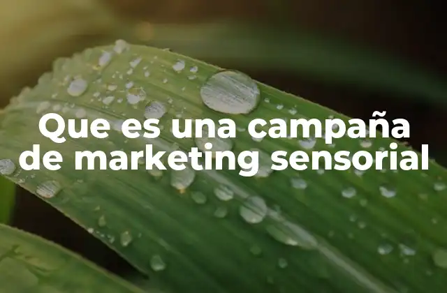 Que es una Campaña de Marketing Sensorial