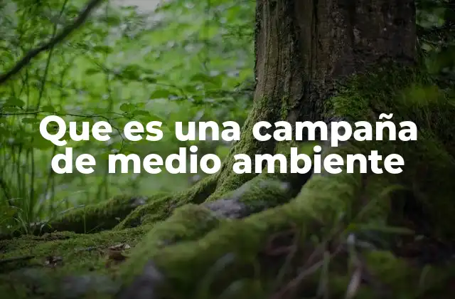 Que es una Campaña de Medio Ambiente
