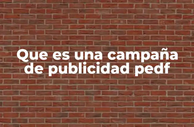 Que es una Campaña de Publicidad Pedf