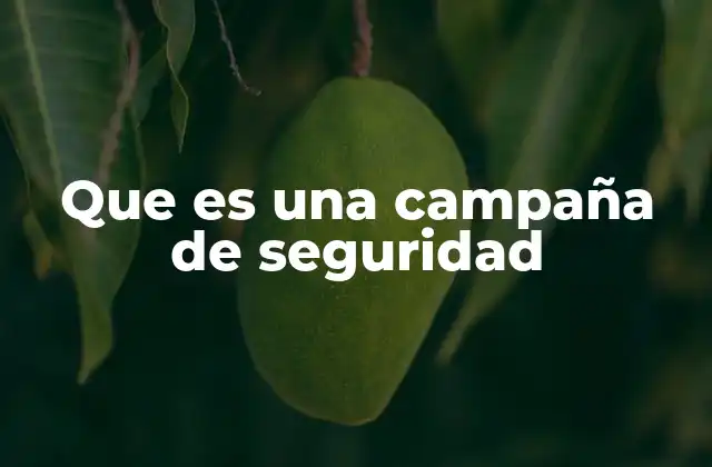Que es una Campaña de Seguridad
