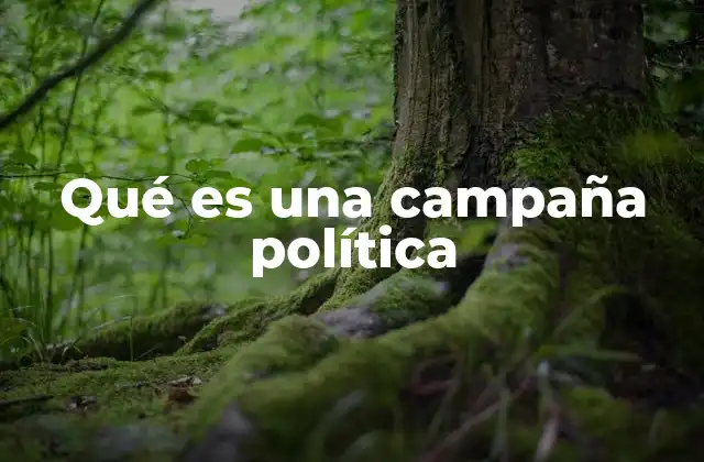 Qué es una Campaña Política