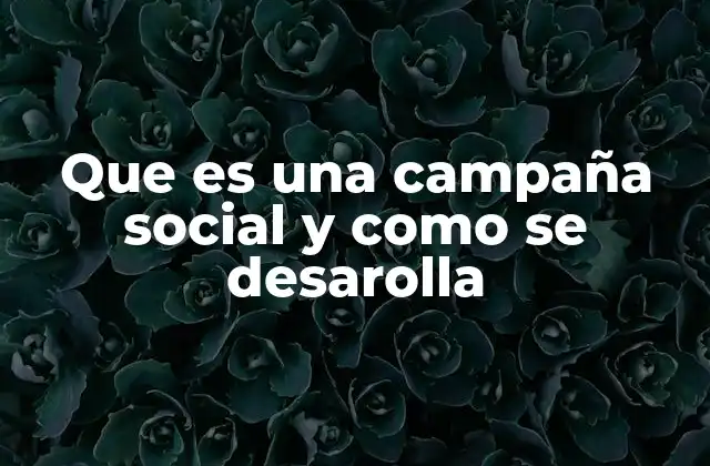 Que es una Campaña Social y como Se Desarolla