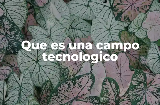 Que es una Campo Tecnologico
