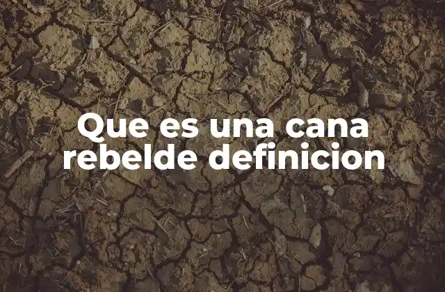 Que es una Cana Rebelde Definicion