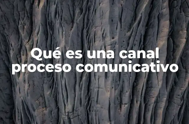 Qué es una Canal Proceso Comunicativo