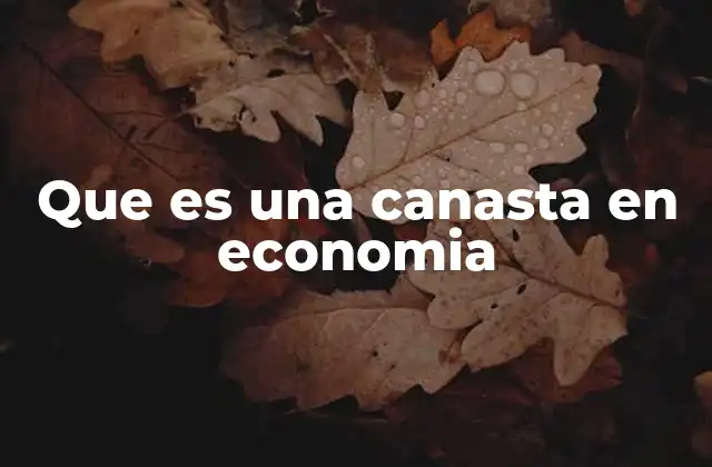 Que es una Canasta en Economia 2 La relevancia de las canastas en el análisis económico