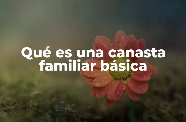 Qué es una Canasta Familiar Básica