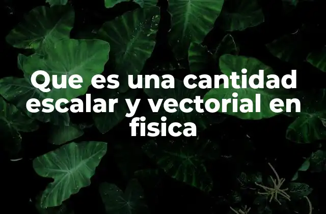 Que es una Cantidad Escalar y Vectorial en Fisica