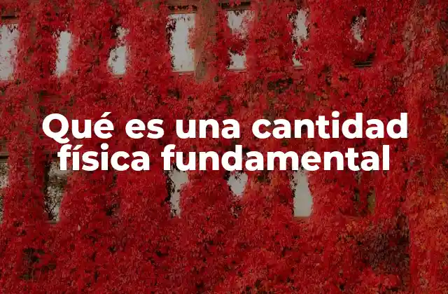 Qué es una Cantidad Física Fundamental