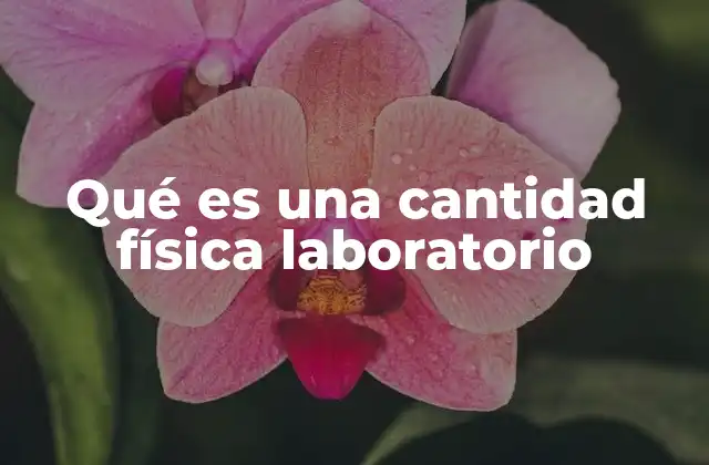 Qué es una Cantidad Física Laboratorio