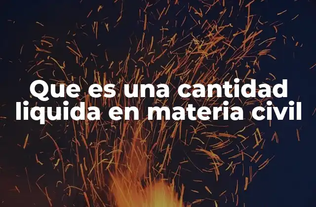 Que es una Cantidad Liquida en Materia Civil