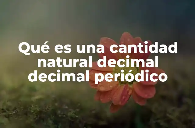 Qué es una Cantidad Natural Decimal Decimal Periódico 2 Características de los números decimales periódicos
