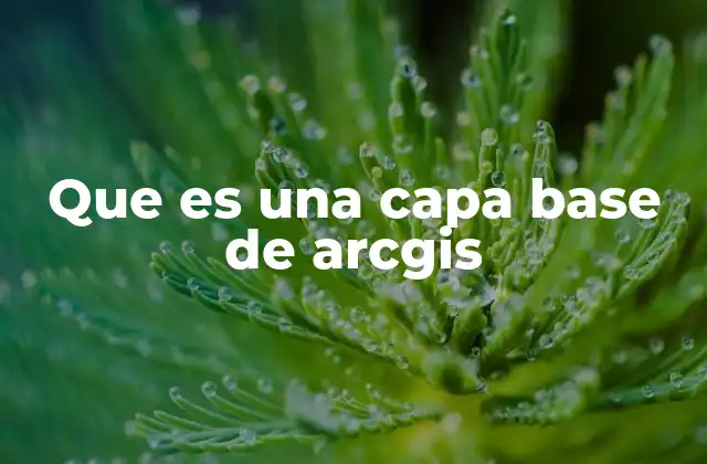 Que es una Capa Base de Arcgis