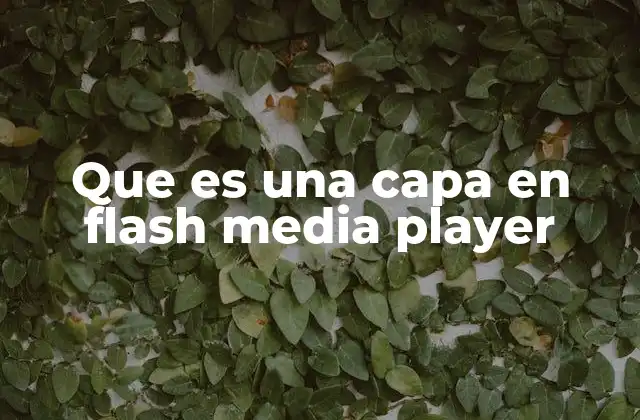 Que es una Capa en Flash Media Player