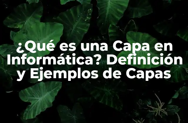 La Arquitectura en Capas en la Informática