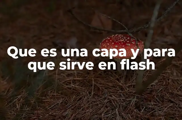 Que es una Capa y para que Sirve en Flash