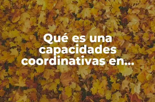 Qué es una Capacidades Coordinativas en Educación Física