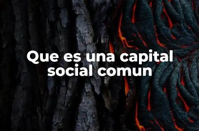 Que es una Capital Social Comun