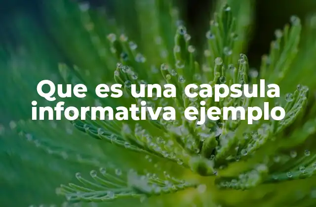 Que es una Capsula Informativa Ejemplo