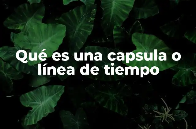 La evolución de las herramientas de representación temporal