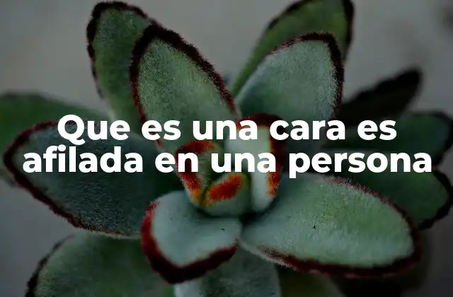 Que es una Cara es Afilada en una Persona