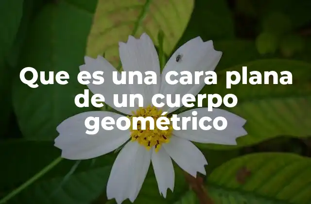 Que es una Cara Plana de un Cuerpo Geométrico