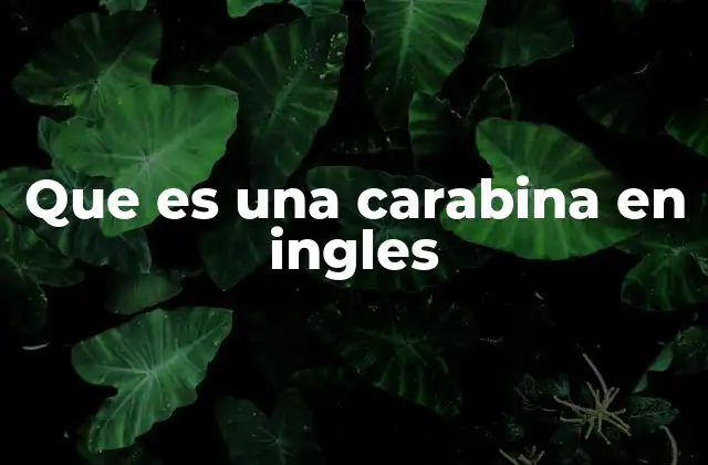 Que es una Carabina en Ingles