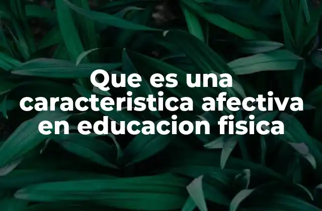 La dimensión emocional en el aula deportiva