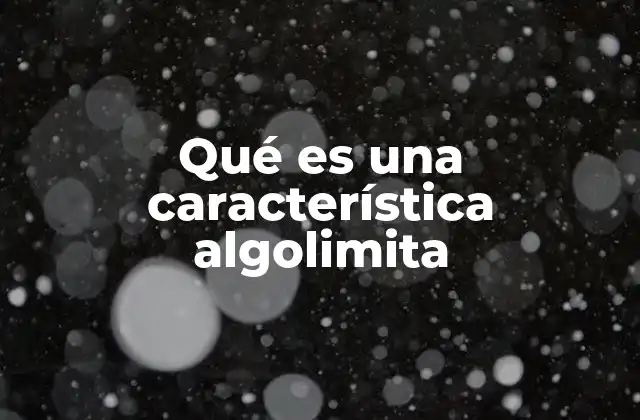 Qué es una Característica Algolimita
