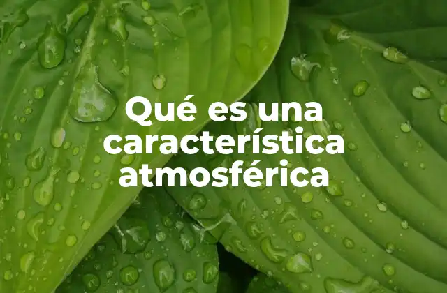 Qué es una Característica Atmosférica 2 Cómo se miden las características atmosféricas